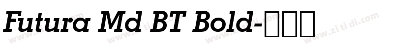 Futura Md BT Bold字体转换